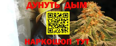 дмт Кудрово