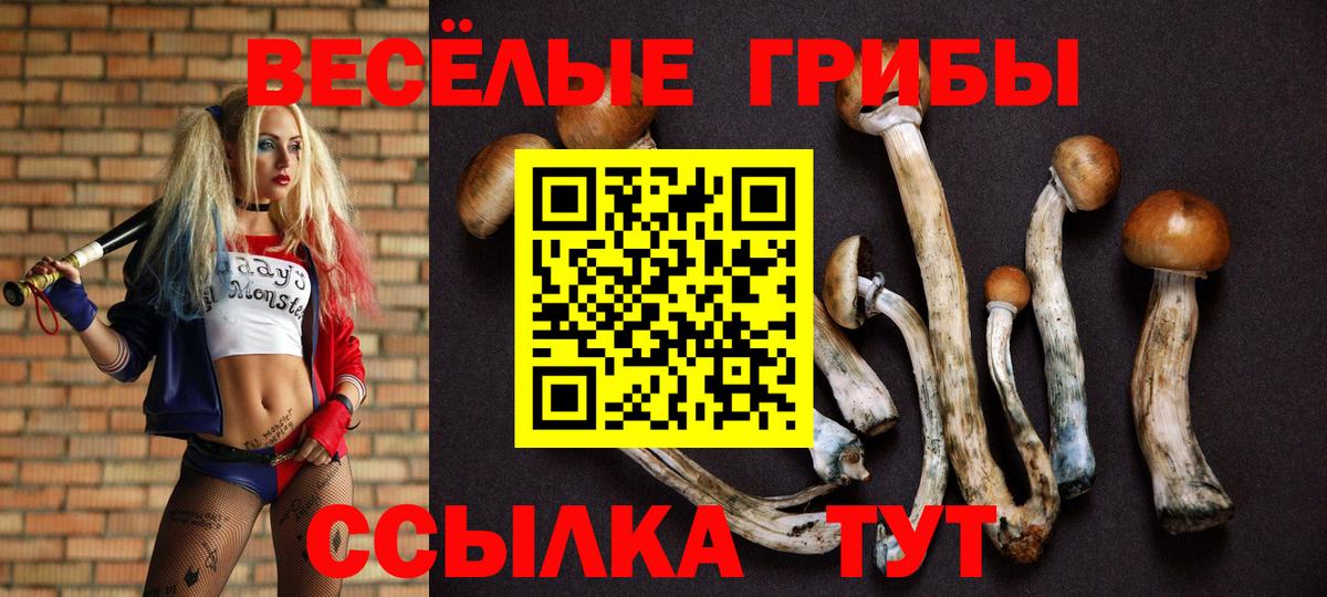 Псилоцибиновые грибы GOLDEN TEACHER  Вход с VPN  Лянтор 